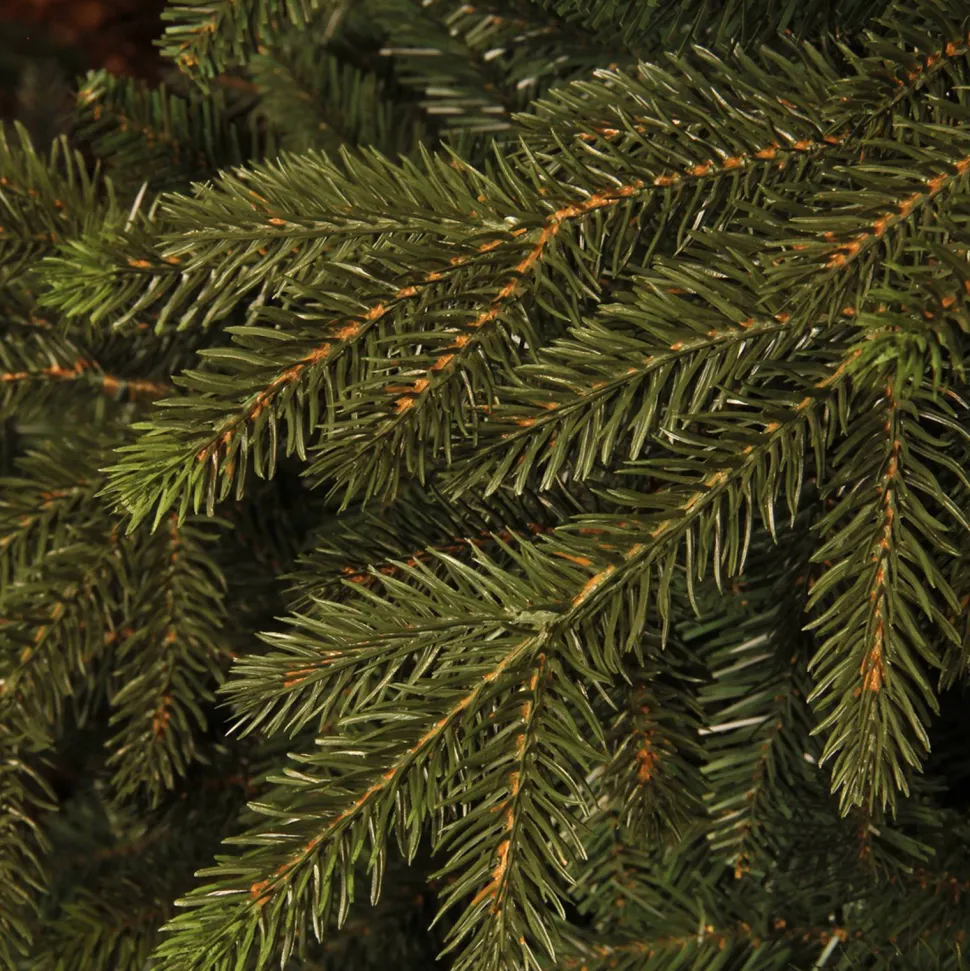 Black Box Trees Kerstboom Macallan (H185 X O127 Cm)