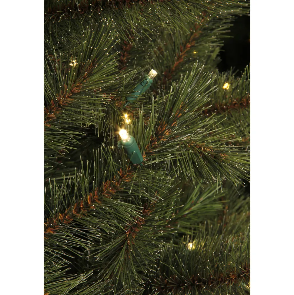 Black Box Trees Verlichte Kerstboom Toronto (H230Xo140 Cm)