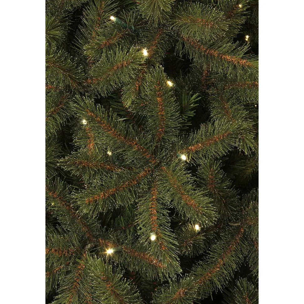 Black Box Trees Verlichte Kerstboom Toronto (H185Xo114 Cm)