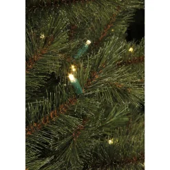 Black Box Trees Verlichte Kerstboom Toronto (H215Xo132 Cm)