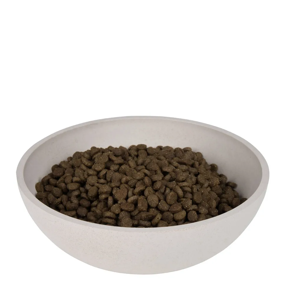 District 70 Bamboo Hond Voerbak - L - Merengue