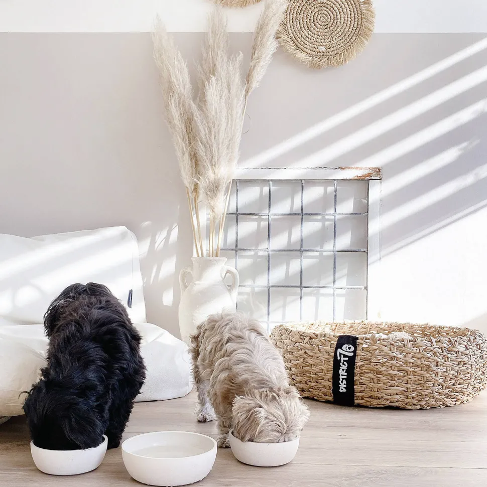 District 70 Bamboo Voerbak Hond/Kat - S - Merengue
