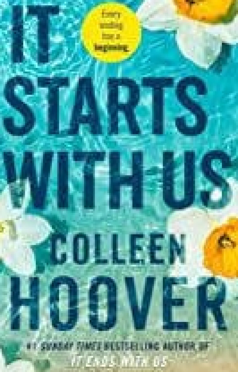 Hoover, Colleen It Starts With Us