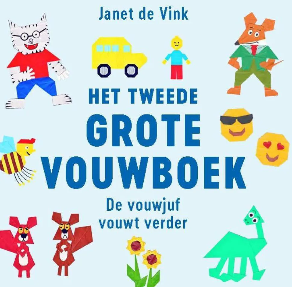 Janet De Vink Het Tweede Grote Vouwboek