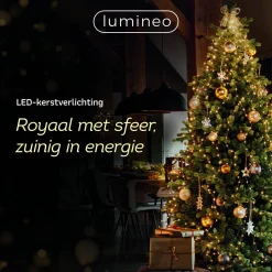 Lumineo Verlichtingssnoer Kerst Cluster (1128 Led)