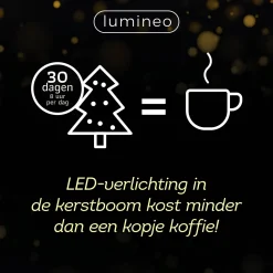 Lumineo Verlichtingssnoer Kerst Cluster (1128 Led)