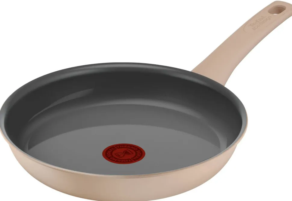 Tefal Revive Koekenpan (O24 Cm)