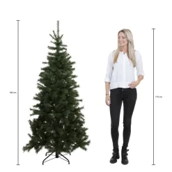 Triumph Tree Kerstboom Sherwood (H185Xo127 Cm)