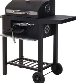 Vaggan Houtskoolbarbecue