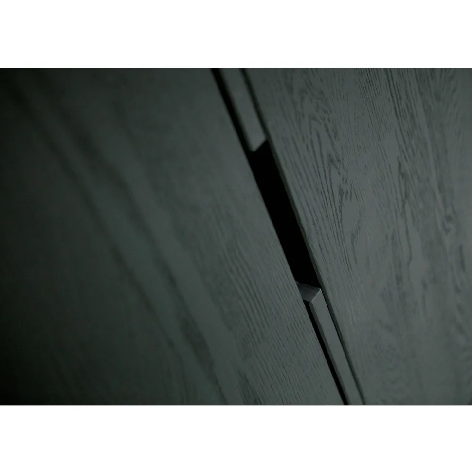 Woood Exclusive 2-Deurs Kast Silas